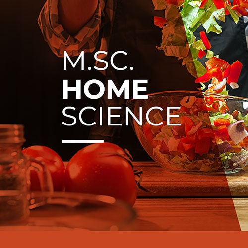 msc home tab-min